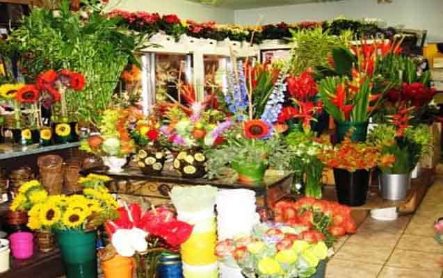 Çiçekçi Dükkanı Açmak - Çiçekçi Dükkanı Nasıl Açılır - Maliyet ve Kar Oranı