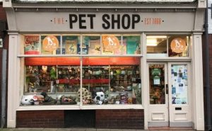 Pet Shop Dükkanı Açmak