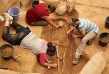 Arkeolog Nasıl Olunur? Arkeolog Maaşları Ne Kadar?