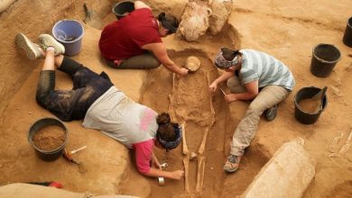 Arkeolog Nasıl Olunur? Arkeolog Maaşları Ne Kadar?